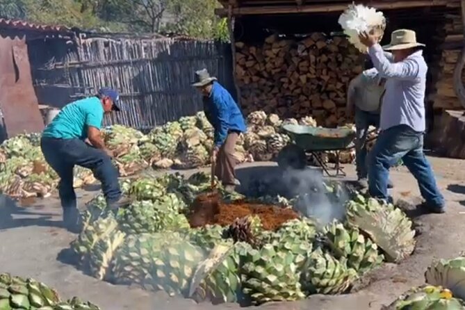 Experience the Mezcal Tour in Oaxaca - Stop one: the large distillery outside Oaxaca