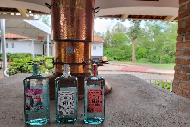 Finca 18 Puerto Vallarta Tequila Tour + Chocolate Pairing - Arriving at the 12-Acre Ranch