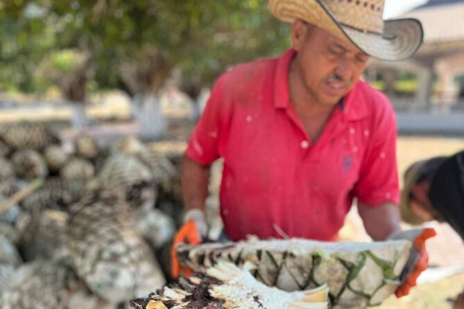 Finca 18 Puerto Vallarta Tequila Tour + Chocolate Pairing - Walking Through Agave From Nursery to Distillery