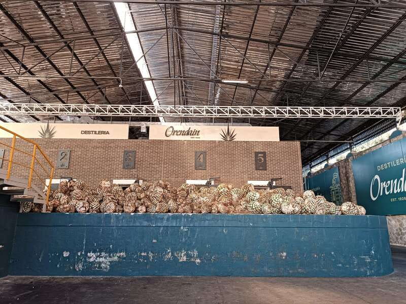 Five-star factory: Meet Orendain tequila. - Key points to know before you book
