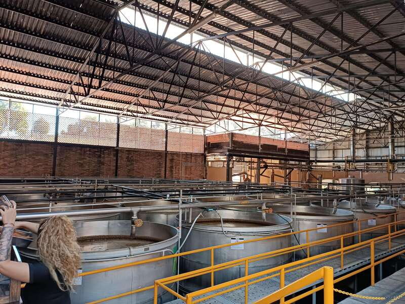 Five-star factory: Meet Orendain tequila. - Language, guides, and the practical details