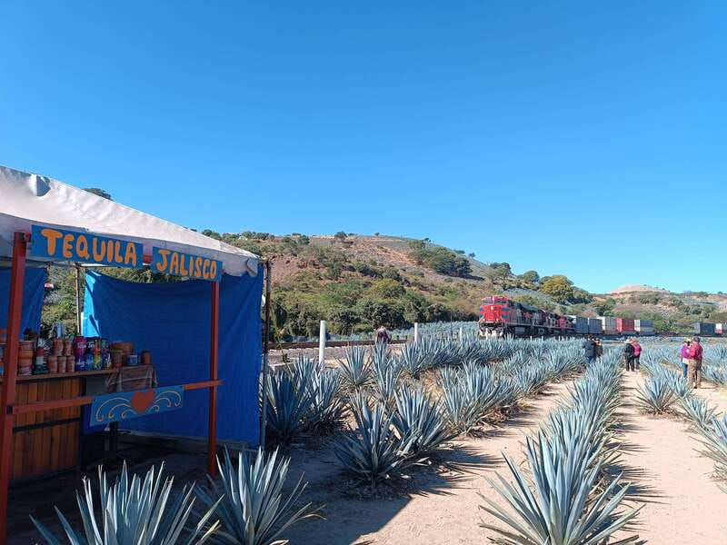 Five-star factory: Meet Orendain tequila. - Why the Orendain factory is the heart of this tour