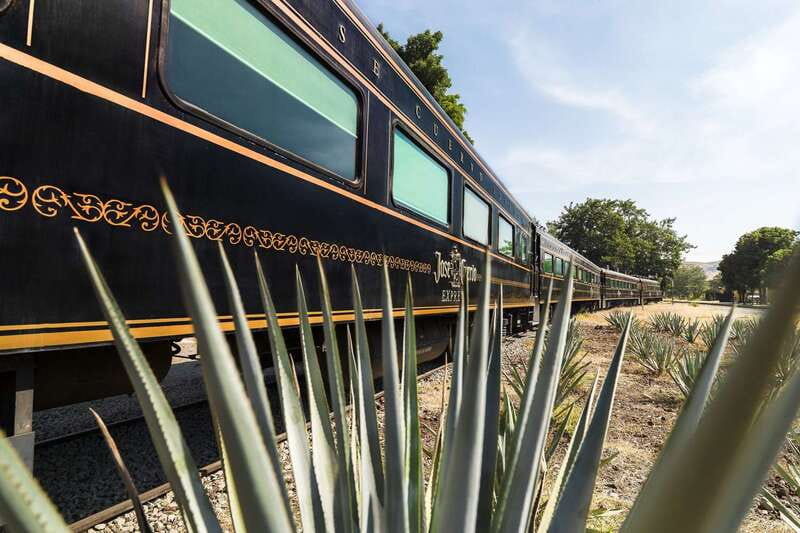 From Guadalajara: La Rojeña Distillery & Jose Cuervo Train - Tequila town gives you a short taste of local life