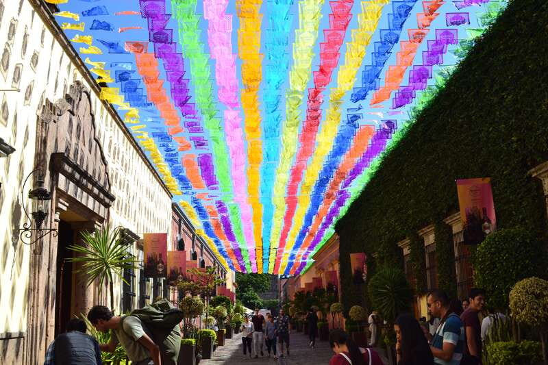 From Guadalajara: Pyramids & Jose Cuervo Tequila Tour - Who will enjoy this day most