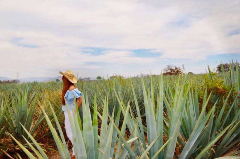 From Guadalajara: Tequila Town and Cantarito Making Tour - Why this day trip works for tequila beginners