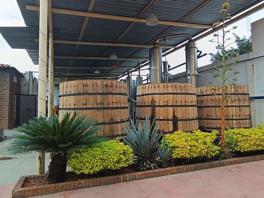 From Guadalajara: Tequila Town and Cantaritos El Guero - Walking the Pueblo Mágico of Tequila