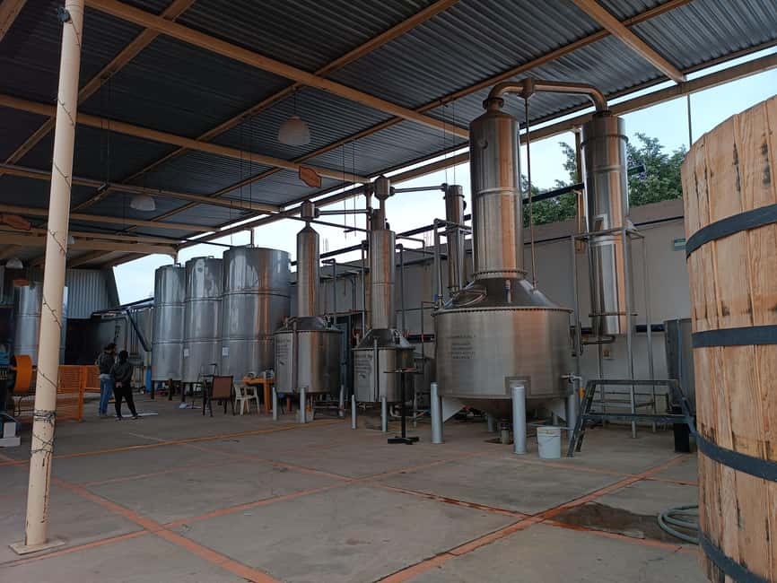 From Guadalajara: Tequila Town and Cantaritos El Guero - Cantaritos in Amatitán