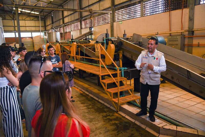 From Guadalajara: Tequila Trail Tour with Tasting - The Amatitán distillery visit