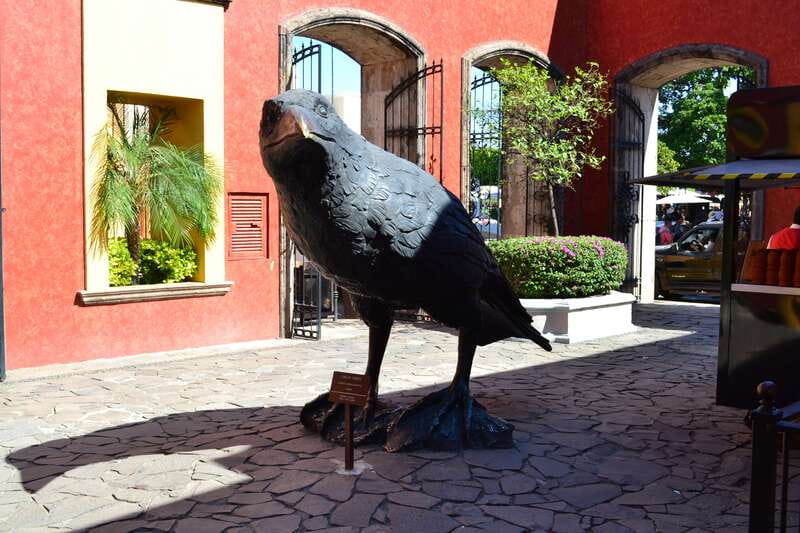 From Guadalajara: Town of Tequila & Jose Cuervo Factory Tour - The Ride From Guadalajara and the Morning Schedule