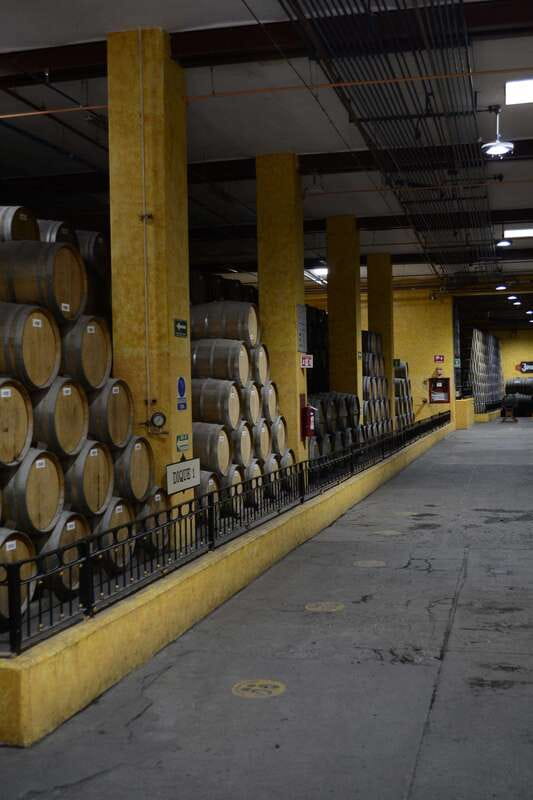From Guadalajara: Town of Tequila & Jose Cuervo Factory Tour - Booking Details That Matter