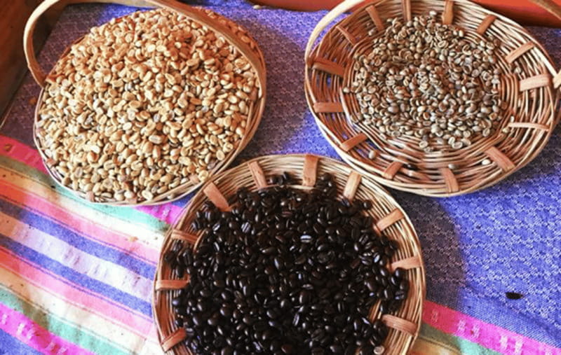 From Huatulco: Coffee and Mezcal Tour - Key Points at a Glance