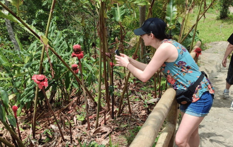 From Huatulco: Coffee and Mezcal Tour - Leaving Huatulco for the Coffee Mountains