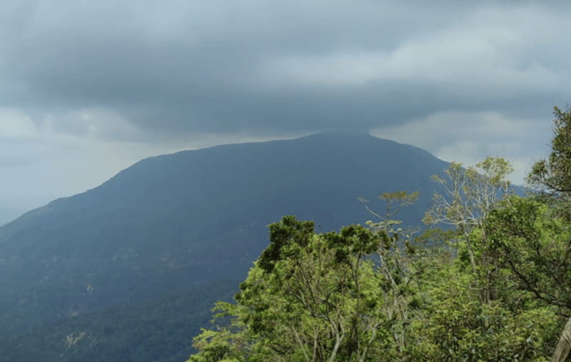 From Huatulco: Coffee and Mezcal Tour - Following Coffee from Bush to Cup
