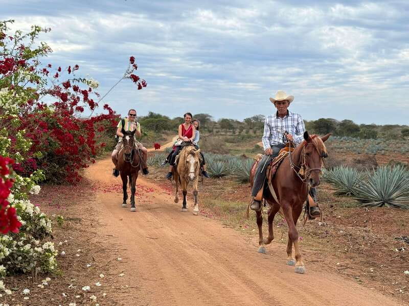 From Mazatlan: ATV & Horse Back riding with Tequila Tasting - Leaving Mazatlán for the Sinaloa countryside