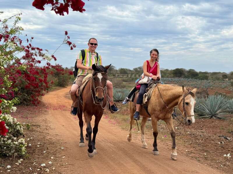 From Mazatlan: ATV & Horse Back riding with Tequila Tasting - Beach, jungle, and the horseback portion