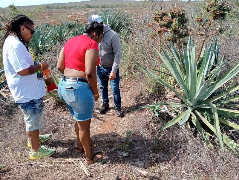 From Mazatlan: ATV & Horse Back riding with Tequila Tasting - What the physical effort feels like
