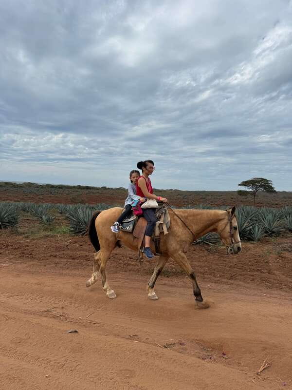 From Mazatlan: ATV & Horse Back riding with Tequila Tasting - The $210 price and who gets good value