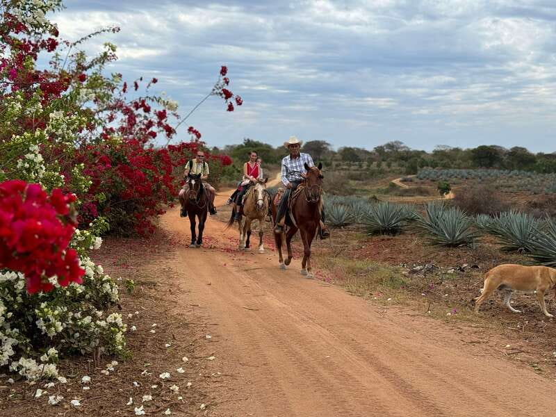From Mazatlan: ATV & Horse Back riding with Tequila Tasting - Who should book this ranch outing?