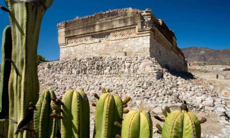 From Oaxaca: City, Mitla, and Mezcal Factory Tour - What to bring and who should skip it