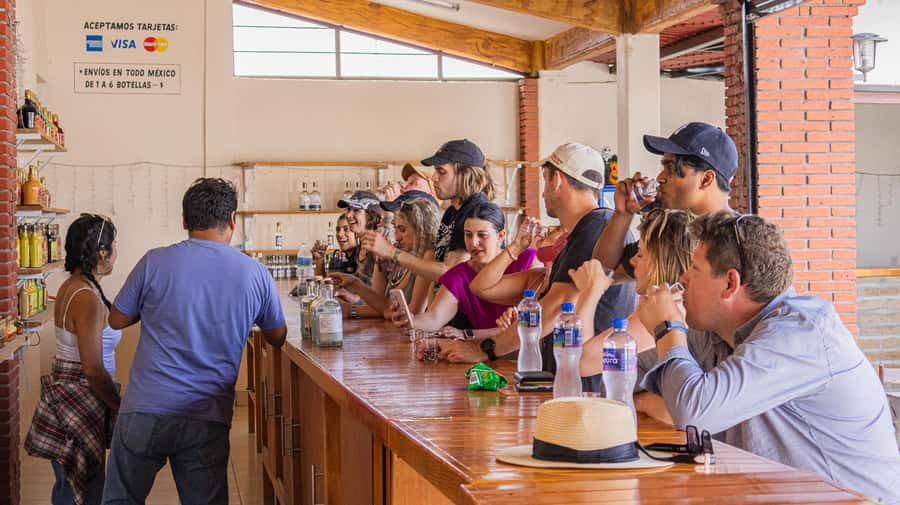 From Oaxaca de Juarez: Hierve el Agua and Mezcal Distillery - Who will enjoy this day trip most?