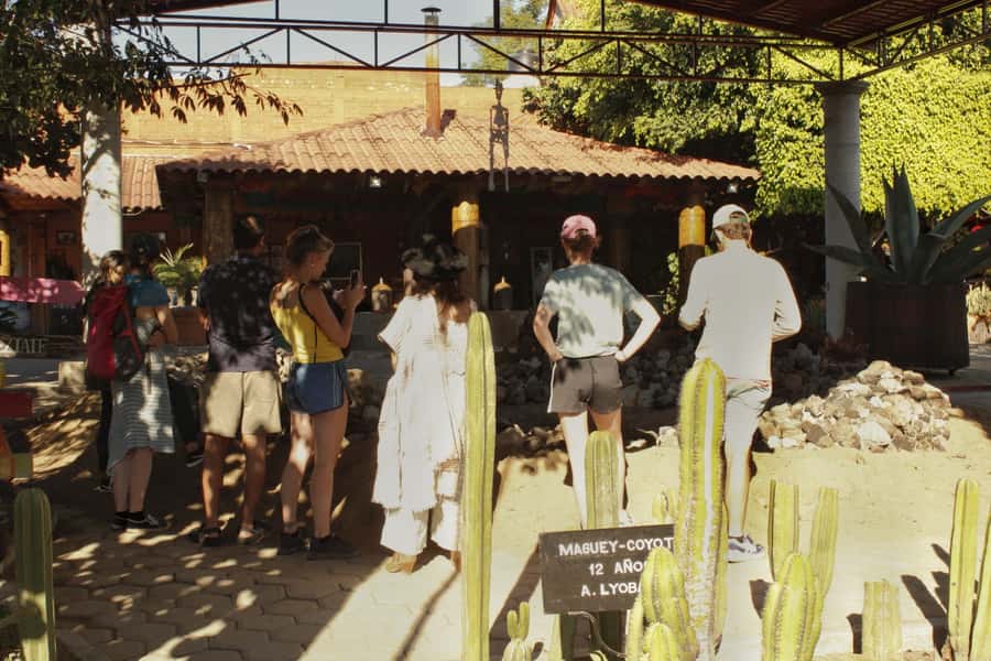 From Oaxaca de Juarez: Hierve el Agua and Mezcal Distillery - The 105-minute ride from central Oaxaca