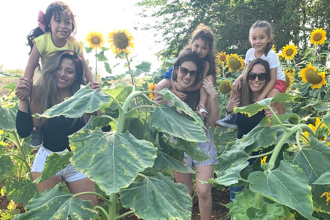 Fruit Garden and Mezcal Tasting Tour with Lunch Included - Lunch with flambée cheese and beef burritos