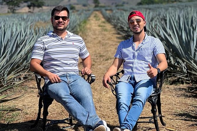 Full Day in Tequila with Tasting and party in Cantaritos - Is the tour good value?