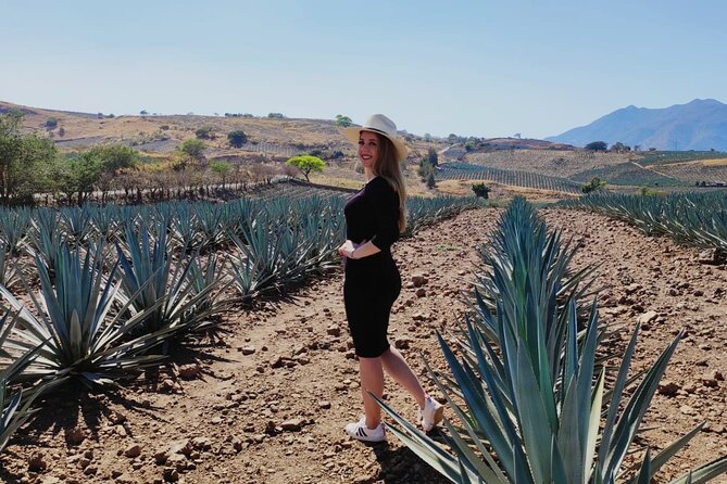 Full Day in Tequila with Tasting and party in Cantaritos - Who should book this tequila day?