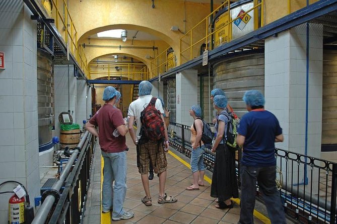Full-Day Tequila, Jalisco from Puerto Vallarta with Tequila Experience - The Jose Cuervo Forum tour