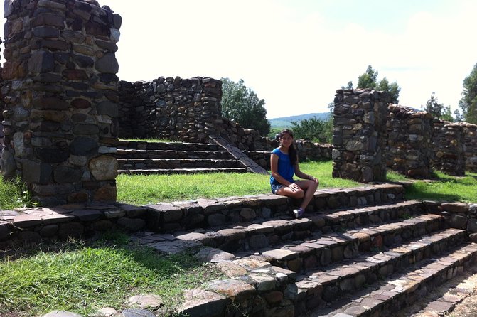 Full-Day Tequila, Jalisco from Puerto Vallarta with Tequila Experience - Local distilleries and agave views