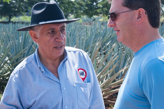 Full-Day Tequila Tour from Guadalajara - From blue agave fields to a glass of añejo