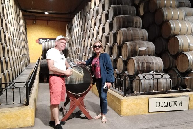 Full-Day Tequila Tour from Guadalajara - Tequila town is more than a lunch break