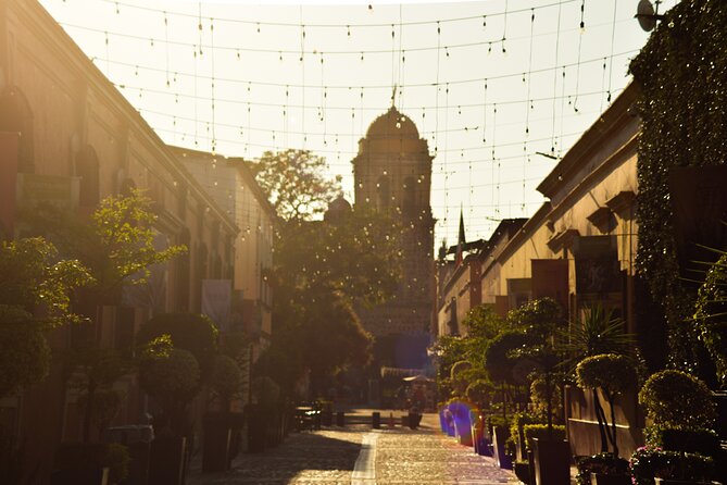 Full-Day Tequila Tour from Guadalajara - Ramón, Tanya, and the guide can shape the day