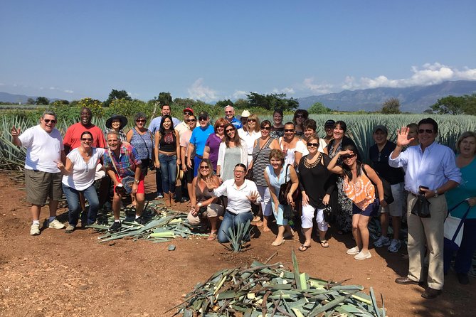 Full-Day Tequila Tour from Guadalajara - Who will enjoy this tour most
