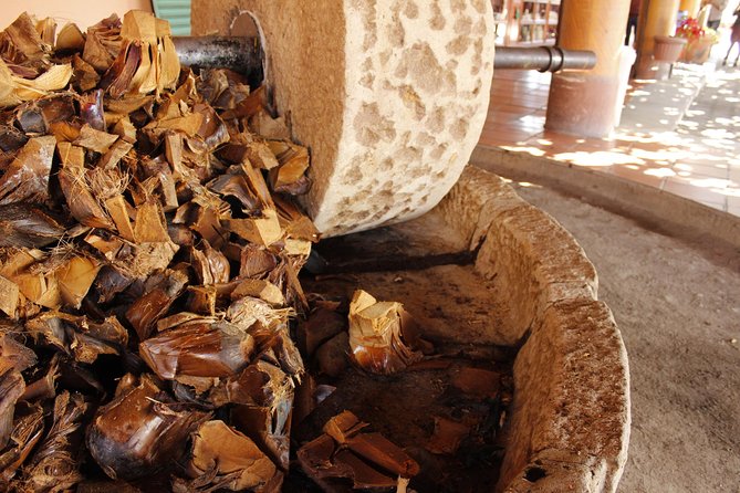 full day tour : Boil the water, Teotitlan, Mezcal, tule and Mitla - Mitla and its geometric stonework