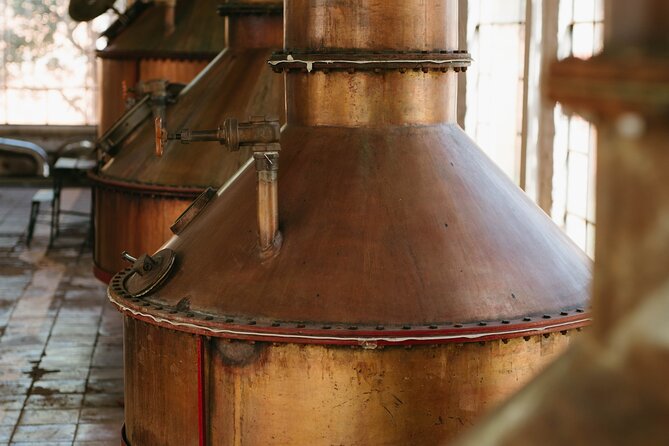 Full-Day Tour in Tequila factory and Cantaritos el Gúero - Why this tour works as a full day from Guadalajara