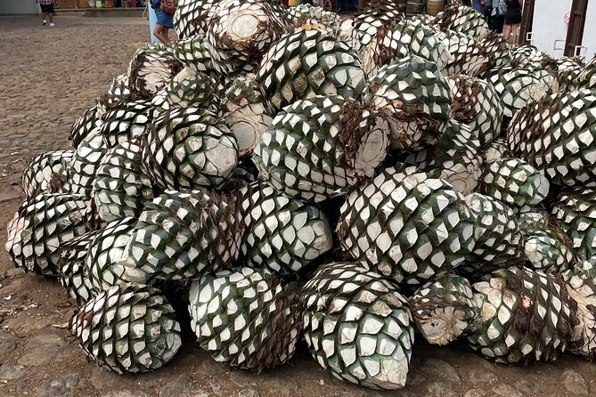 Full-Day Tour in Tequila factory and Cantaritos el Gúero - Two hours in Tequila town