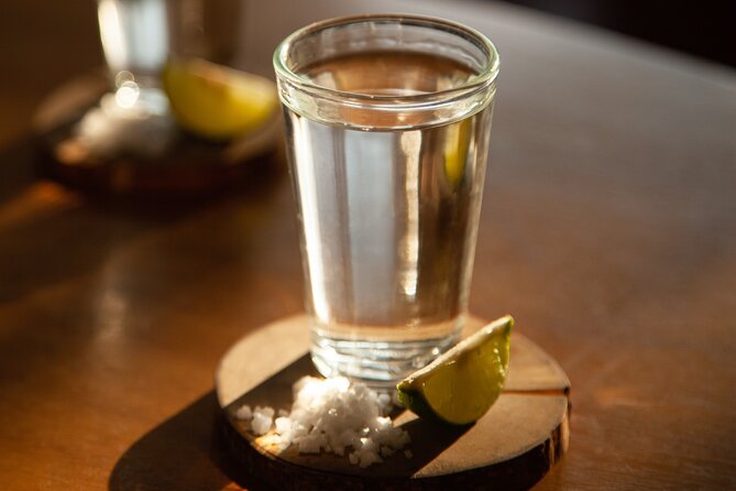 Full-Day Tour in Tequila factory and Cantaritos el Gúero - Agave fields, the giant swing, and the first big views