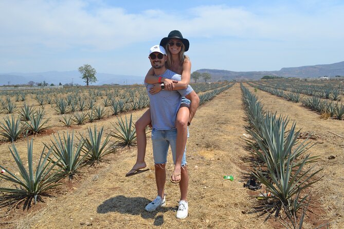 Full Day Tour to Tequila and Amatitán with Fun and Culture - What this Guadalajara tequila tour is really like