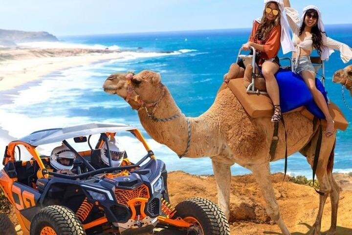 Fun Camel Ride and UTV COMBO with Tequila Tasting! - Tequila tasting after the dust