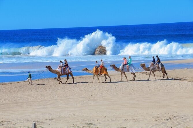 Fun Camel Ride and UTV COMBO with Tequila Tasting! - Cameras, comfort, and practical preparation