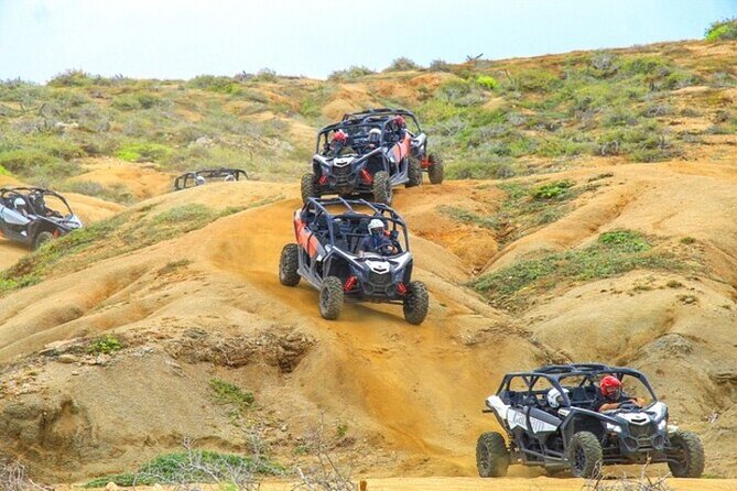 Fun Camel Ride and UTV COMBO with Tequila Tasting! - Choosing between a Side by Side and an ATV