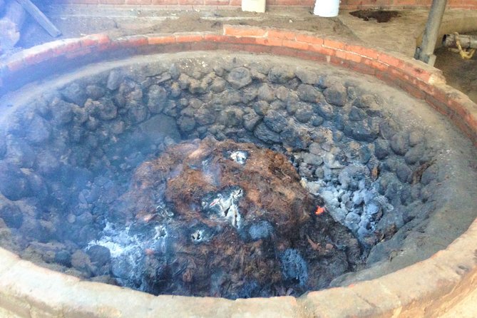 Gastronomy Experience, Culture Mezcal,Tasting & Textiles. Private Tour. - The Tule Tree, an Ancient Stop With Real Scale
