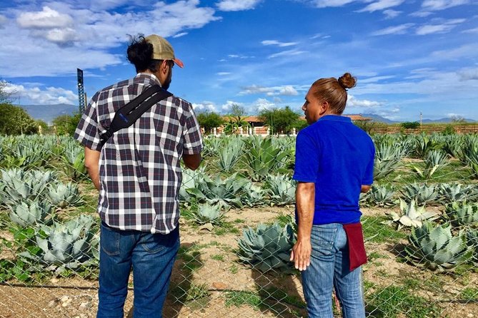 Gastronomy Experience, Culture Mezcal,Tasting & Textiles. Private Tour. - San Jerónimo Tlacochahuaya and Blended Religious Art