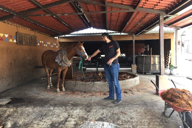 Gastronomy Experience, Culture Mezcal,Tasting & Textiles. Private Tour. - Why the Private Format Matters