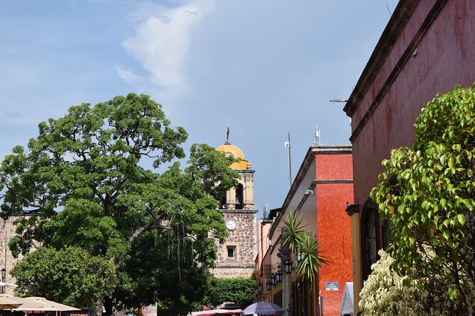 Guachimontones and Tequila a Guided Tour of Culture and History - What the $140 price really covers