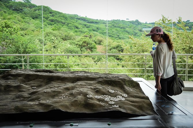 Guachimontones and Tequila Tour - Guides, language, and the human side of the tour