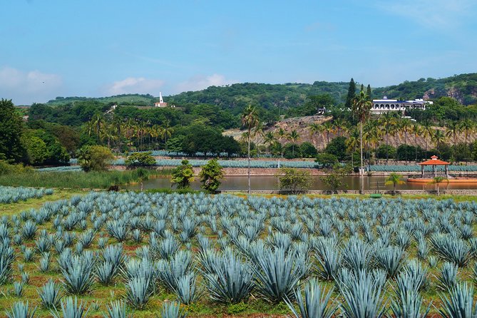 Guachimontones Archaeological Site & Tequila Town PRIVATE TOUR - Why Guachimontones deserves the first half of your day
