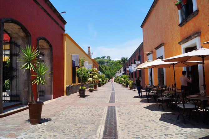 Guachimontones Archaeological Site & Tequila Town PRIVATE TOUR - What to expect in Tequila