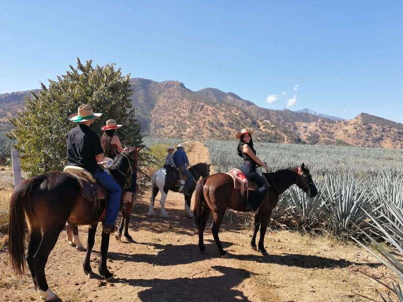 Guadalajara: Horse Riding on the Tequila Route with Tastings - Amatitán’s agave fields and canyon views